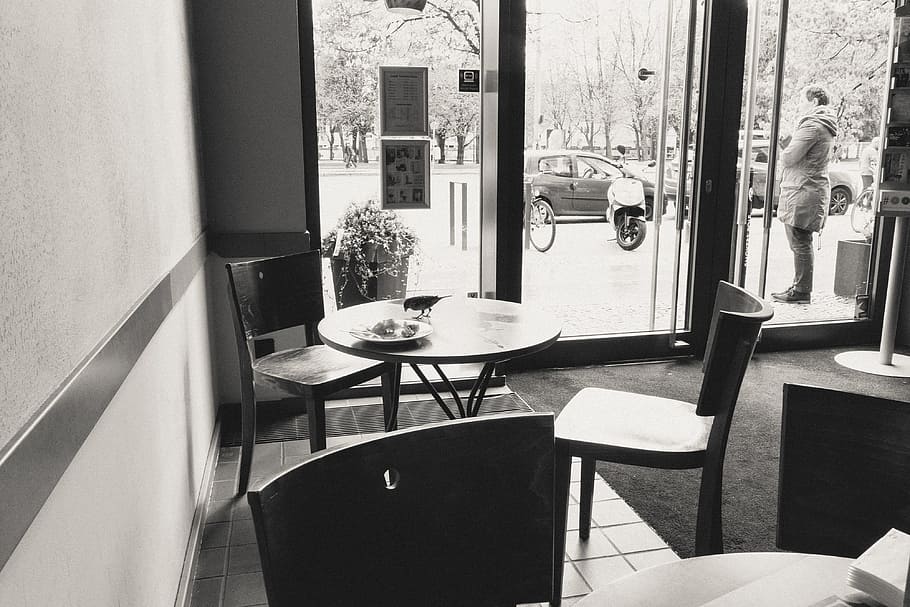 Bird on a table in a cafe, black and White, chair, restaurant HD wallpaper