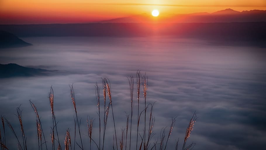 sea, dawn, landscape, sky, beach, bright, clouds, dusk, fog, foggy HD wallpaper