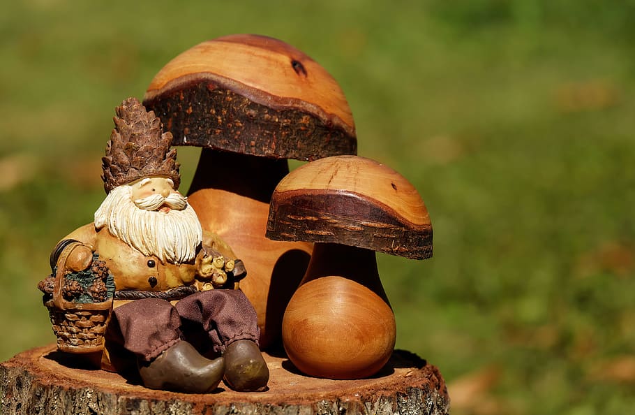 person taking photo of multicolored man with two mushrooms wooden decor