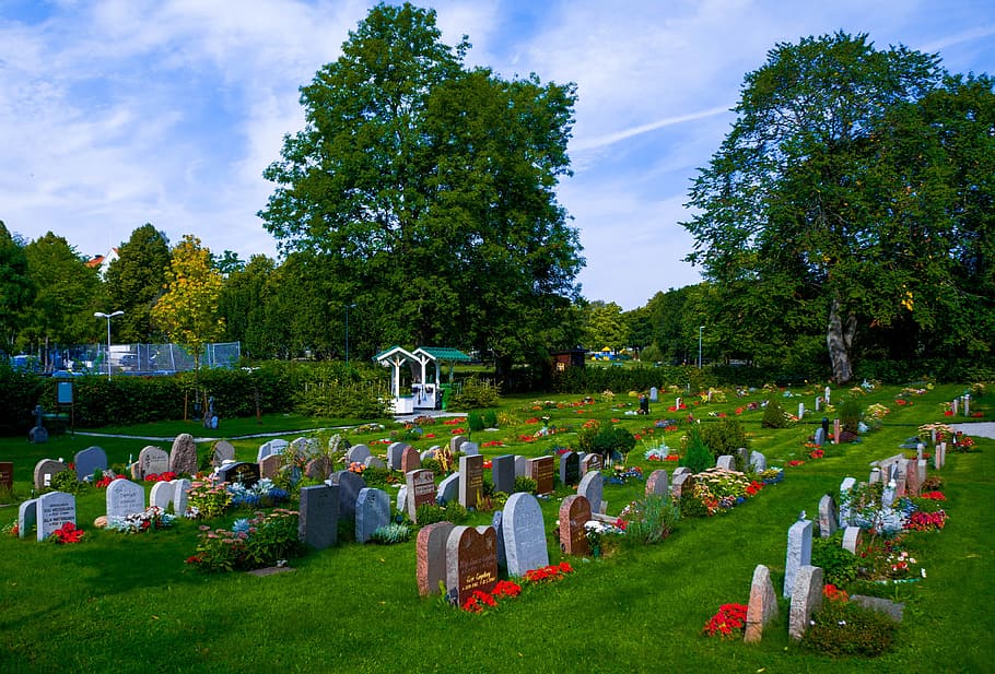 vaxholm, sweden, stockholm, graveyard, outdoors, graves, gravestone, HD wallpaper