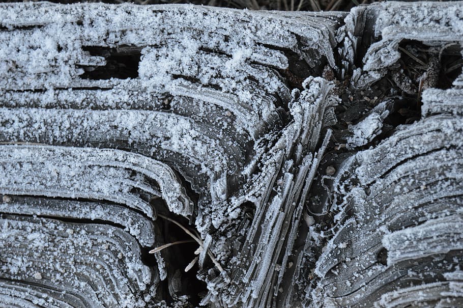 frost, wood, texture, cold, frozen, macro, winter, crystals HD wallpaper