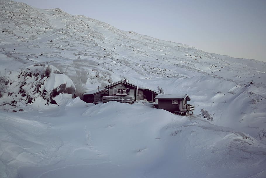 house surrounded by snow, houses on snow coated mountain during daytime HD wallpaper