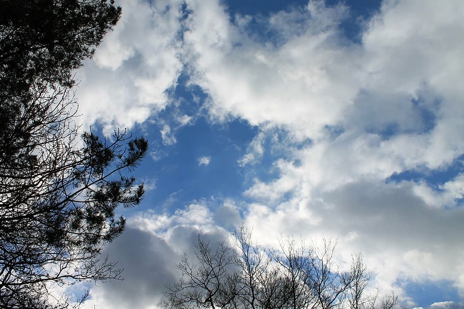 sky, clouds, blue, nature, outdoors, cloud - Sky, weather, tree HD wallpaper