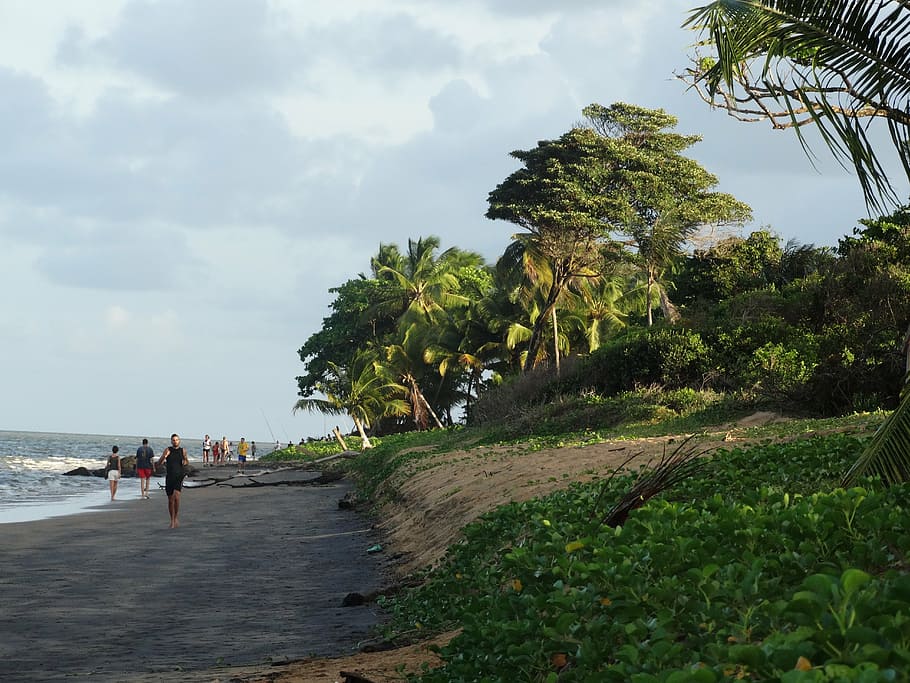 beach, bourda, cayenne, sky, plant, sea, tree, group of people HD wallpaper