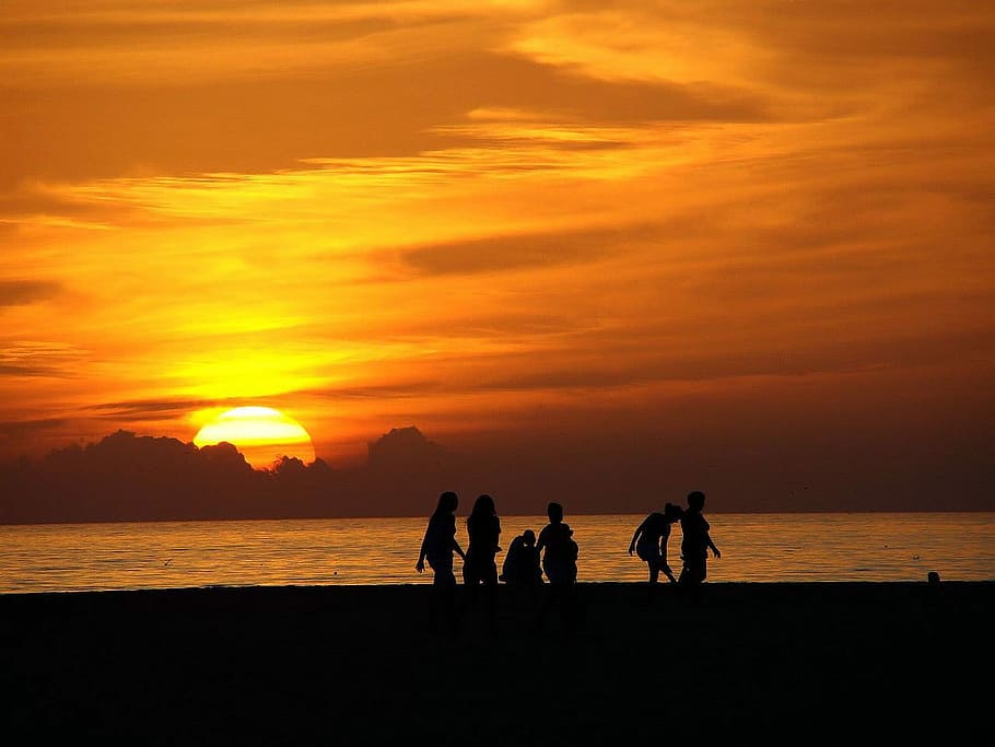 Sun, Clouds, Ocean, Water, Beach, Light, bird, people, sunset HD wallpaper