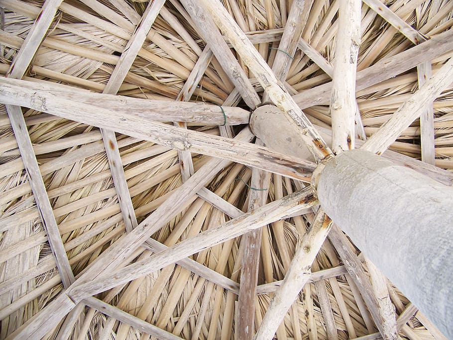 Bamboo Ceiling 1080P, 2K, 4K, 5K HD wallpapers free download