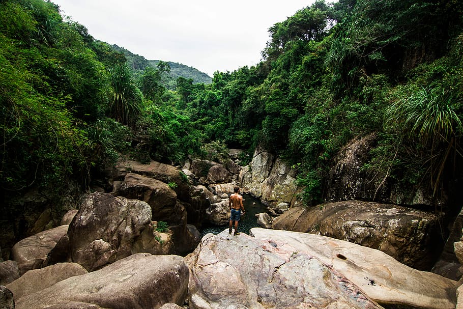 person standing on rock facing forest, man standing of gray rock formation near river surrounded by green leaf trees HD wallpaper