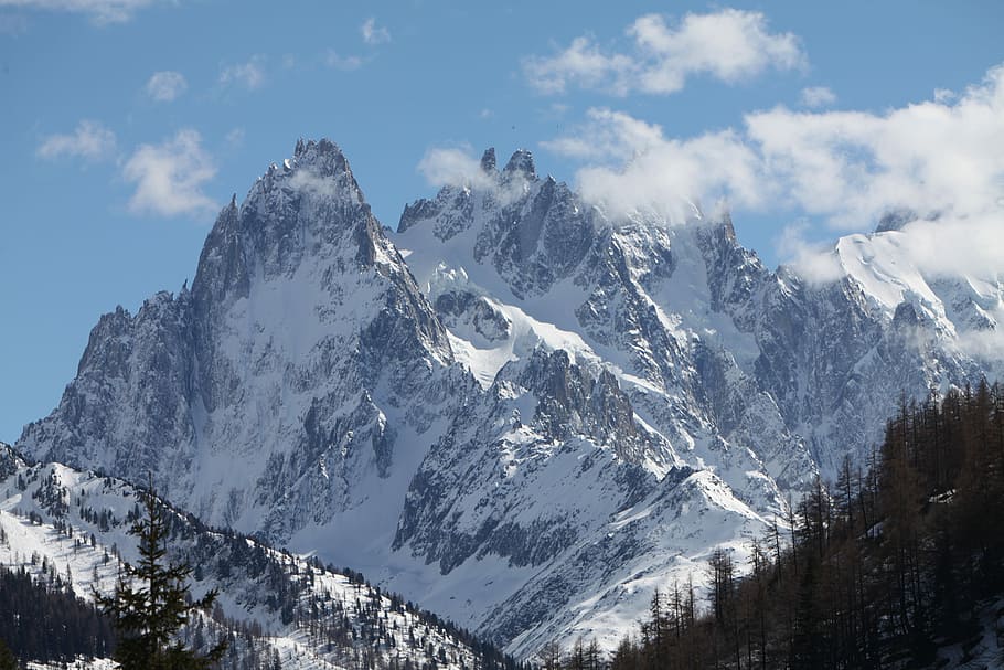 mountain, snow, needles, green, dru, without a name, cold temperature HD wallpaper
