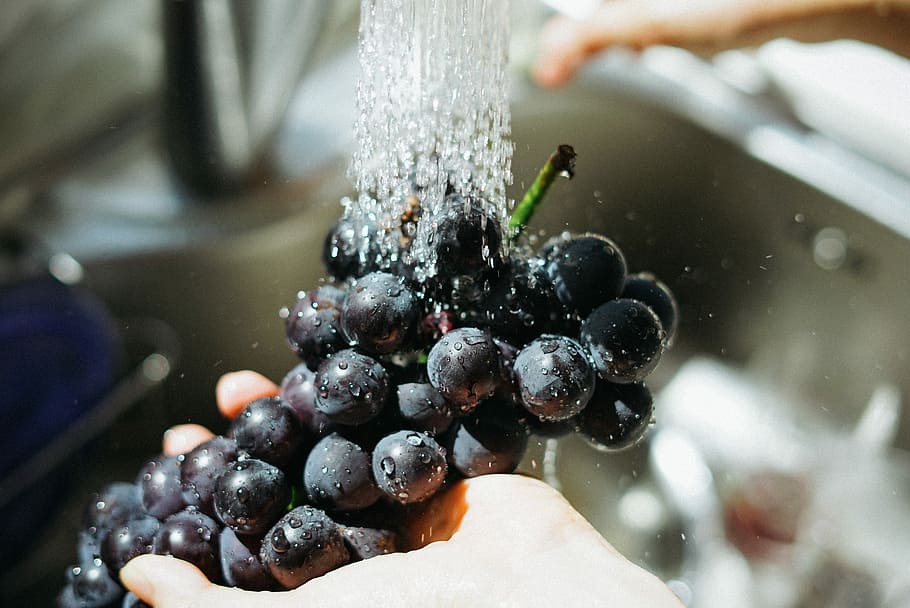 person washing purple grapes, person holding cluster of blackberries
