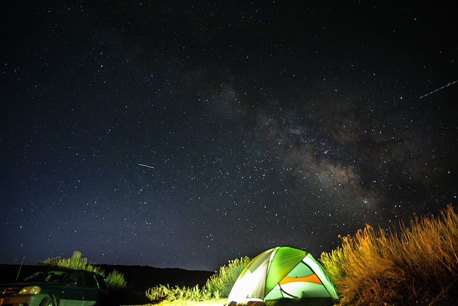 lit green dome tent under moonless skies, green tent set up beside tall grass under night sky