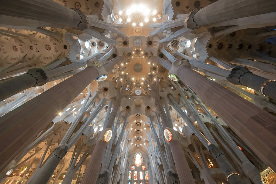 Cieling of La Sagrada Familia, Barcelona, low angle photo of cathedral HD wallpaper