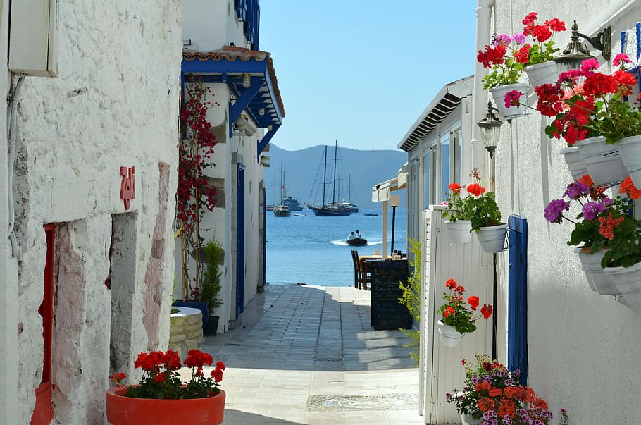 pathway between of houses with flowers during daytime, Bodrum