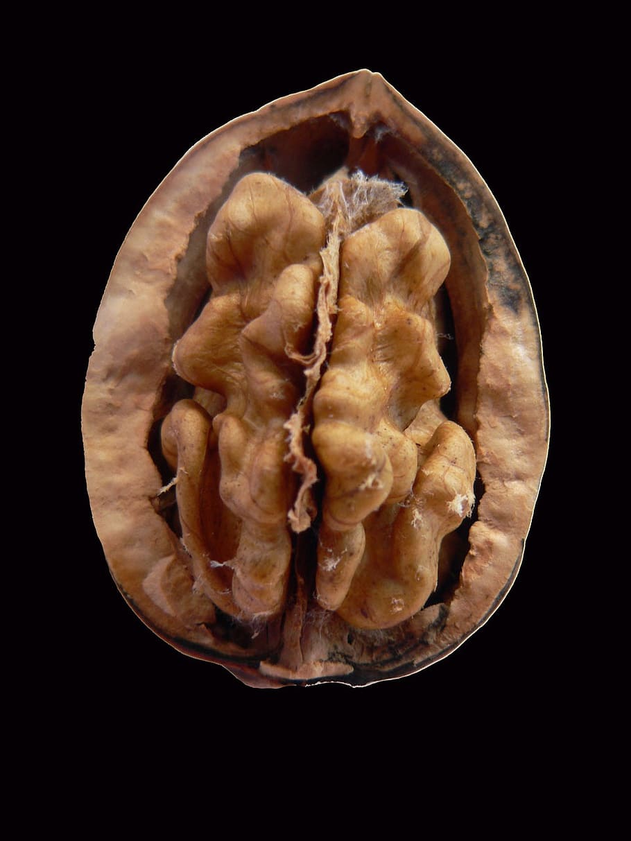 walnut, cracked, kernel, edible, food, nutshell, black background HD wallpaper