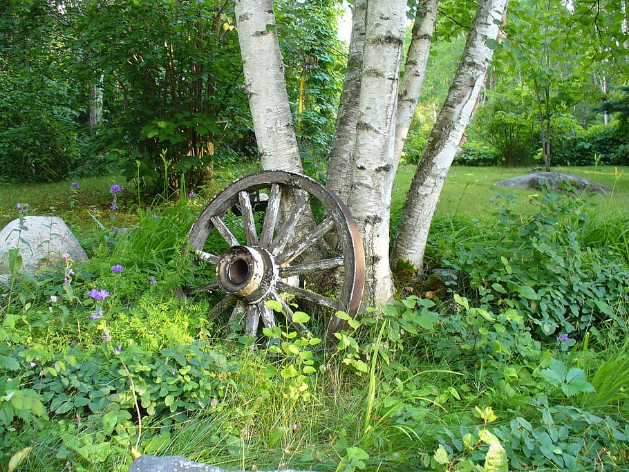 Cartwheel, Tree, Antique, rural, country, greenery, green color, HD wallpaper