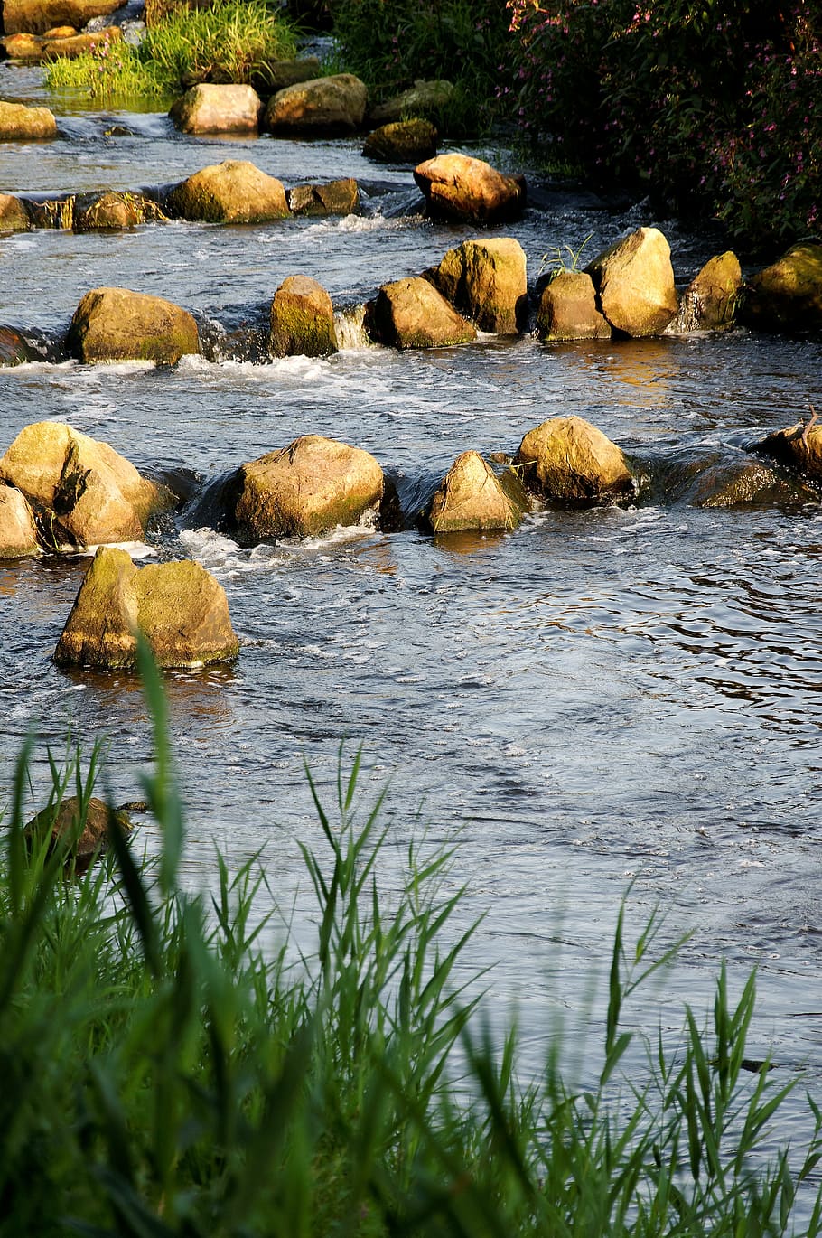 bach, grass, sun, bank, stones, splash, riverbed, water, mood HD wallpaper