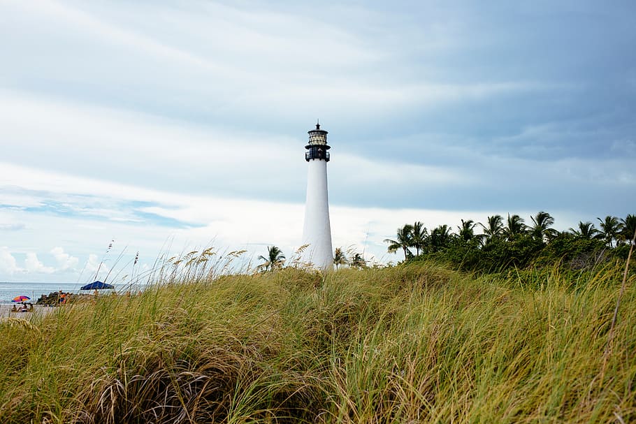 green, grass, trees, plant, lighthouse, beach, coast, shore HD wallpaper