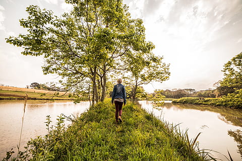 person walking along river, tree, nature, sky, landscape, green HD wallpaper