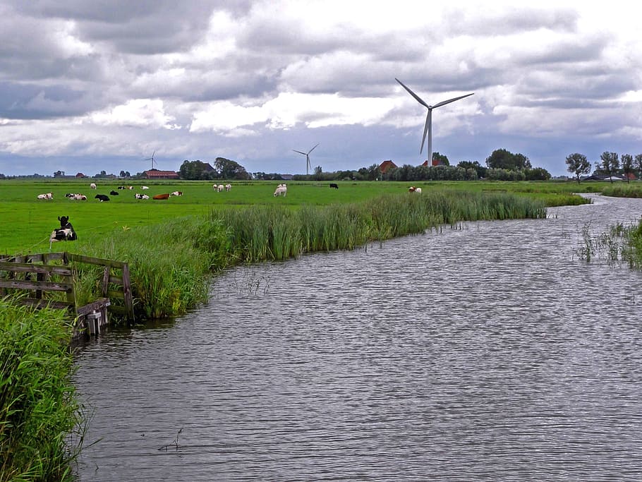 Netherlands, Landscape, River, Stream, water, grass, plants HD wallpaper