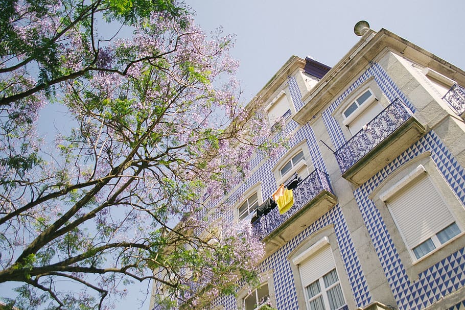 architecture, building, structure, blue, sky, house, windows HD wallpaper