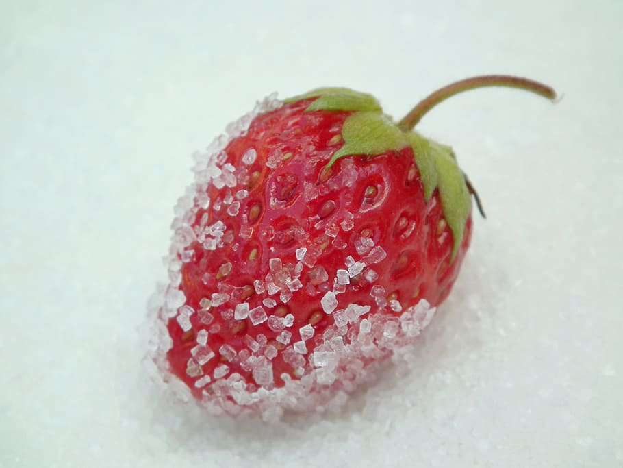 strawberry white white powder, red, wild strawberry, garden strawberry, HD wallpaper