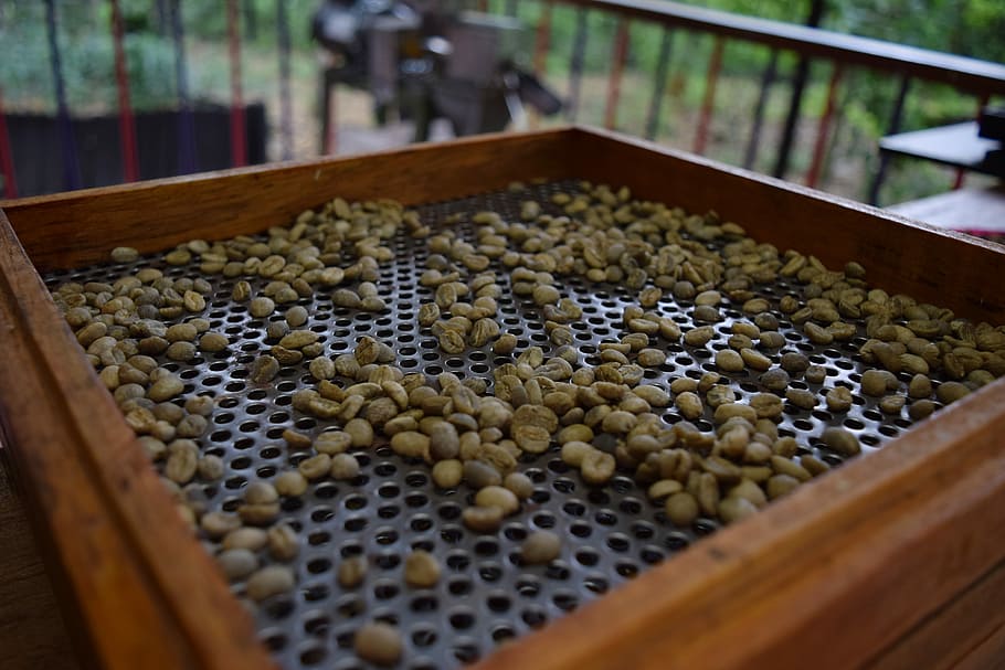 Coffee, Toasted, Grain, green, coffee grains, colombia, dry HD wallpaper