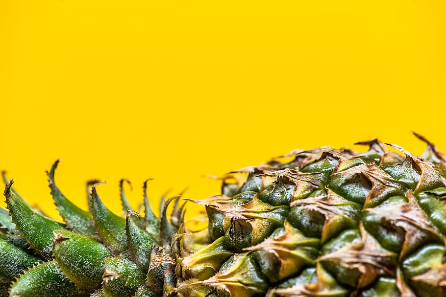 person showing pineapple, raw, sweet, tropical, food, fresh HD wallpaper