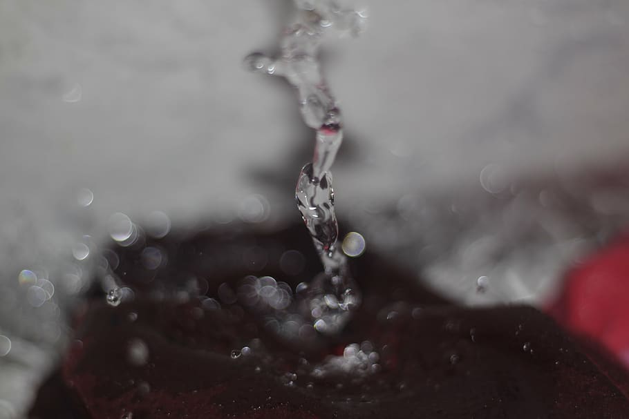 water, cano, open, splashing, drop, liquid, freshness, wet HD wallpaper