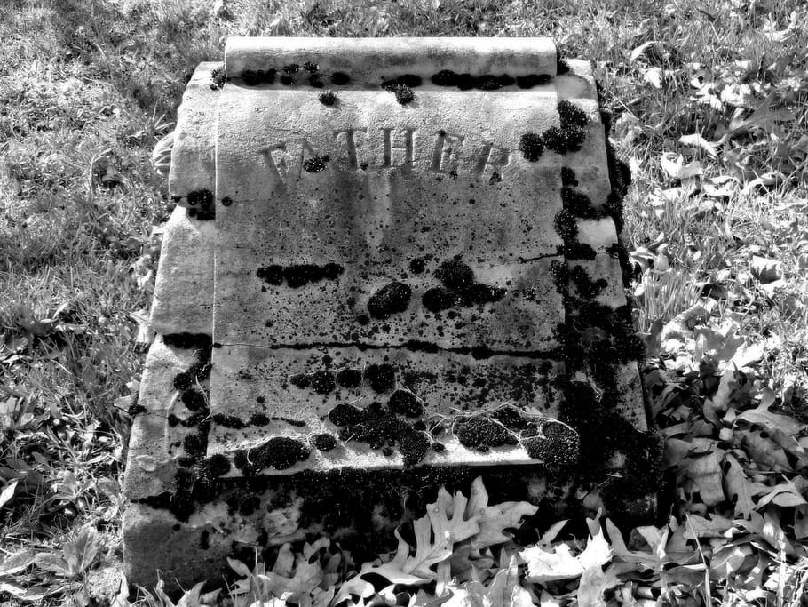 gravestone, headstone, cemetery, no people, day, nature, land HD wallpaper