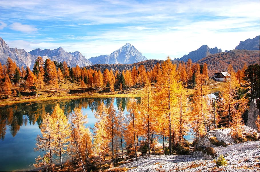river between brown leaf trees, dolomites, mountains, italy, alpine, HD wallpaper