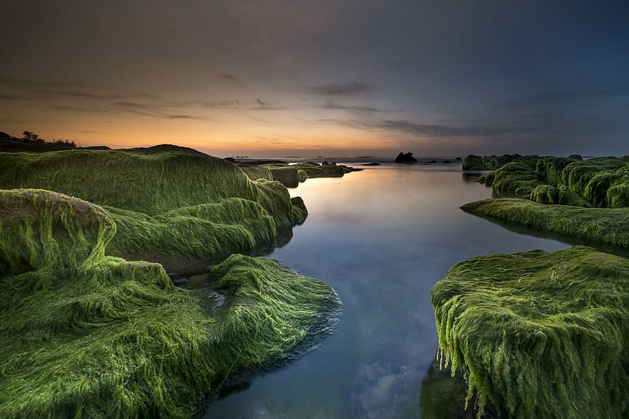 body of water between green grass fields, coast, moss, province