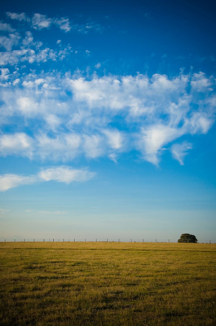 field, sky, clouds, nature, landscape, sun, background image HD wallpaper