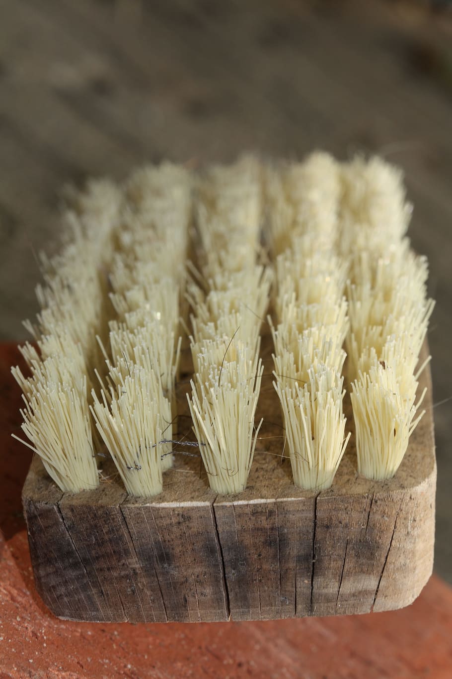 Brush, Bristles, Clean, Close, striegel, schuhbuerste, wood HD wallpaper