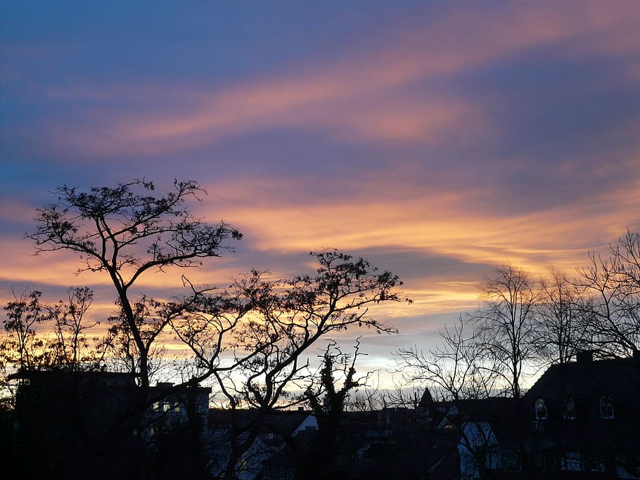 sunset, sky, clouds, afterglow, tree, abendstimmung, romance HD wallpaper