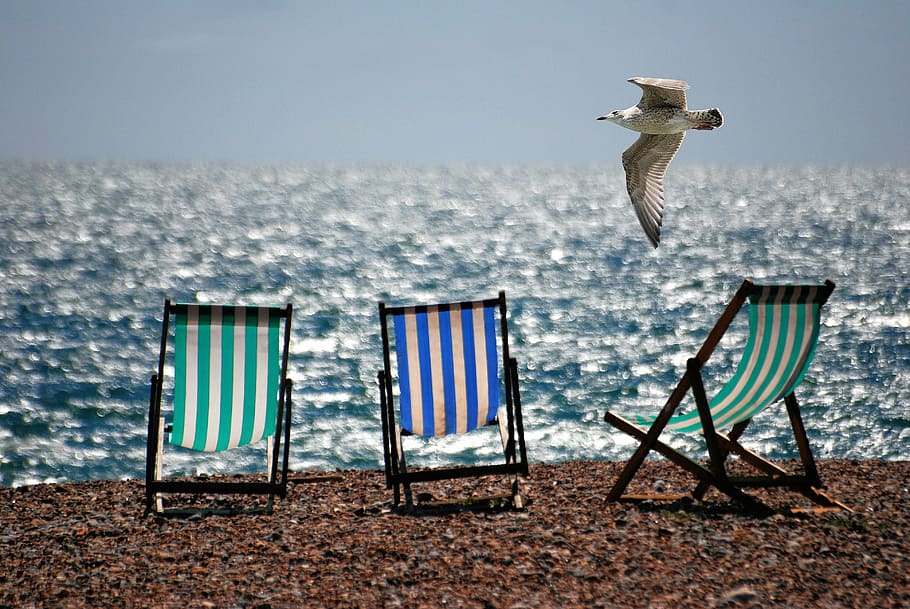 three assorted-color wooden folding chairs on seashore, deckchairs HD wallpaper