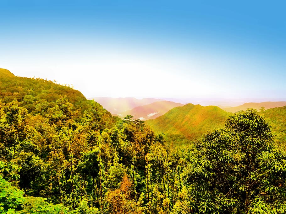 landscape, mountain, hill, trees, nature, outdoor, travel, forest HD wallpaper