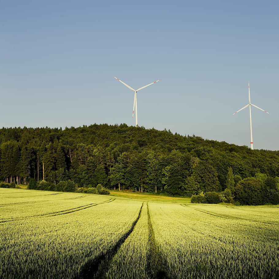white wind turbine over green trees, pinwheel, forest, field HD wallpaper