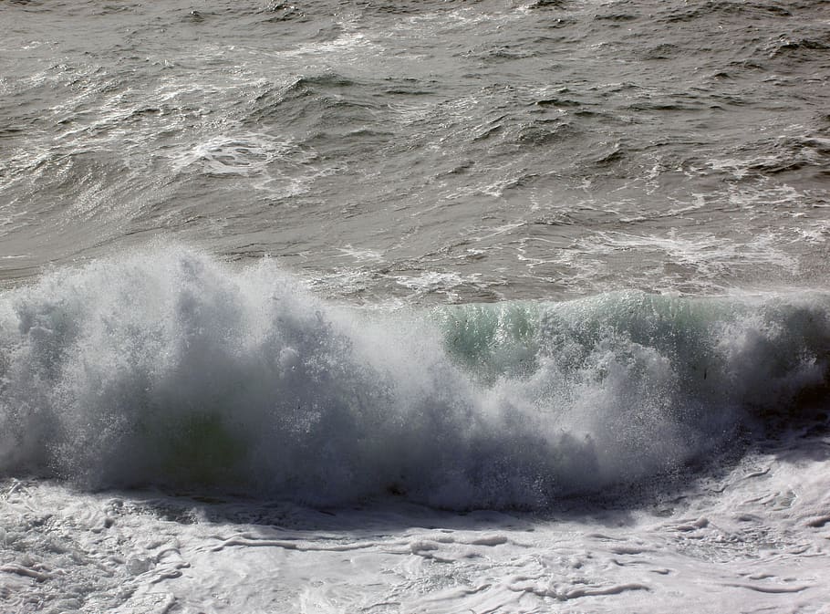 waves, swell, scum, maritime landscape, seascape, shore, nature, HD wallpaper