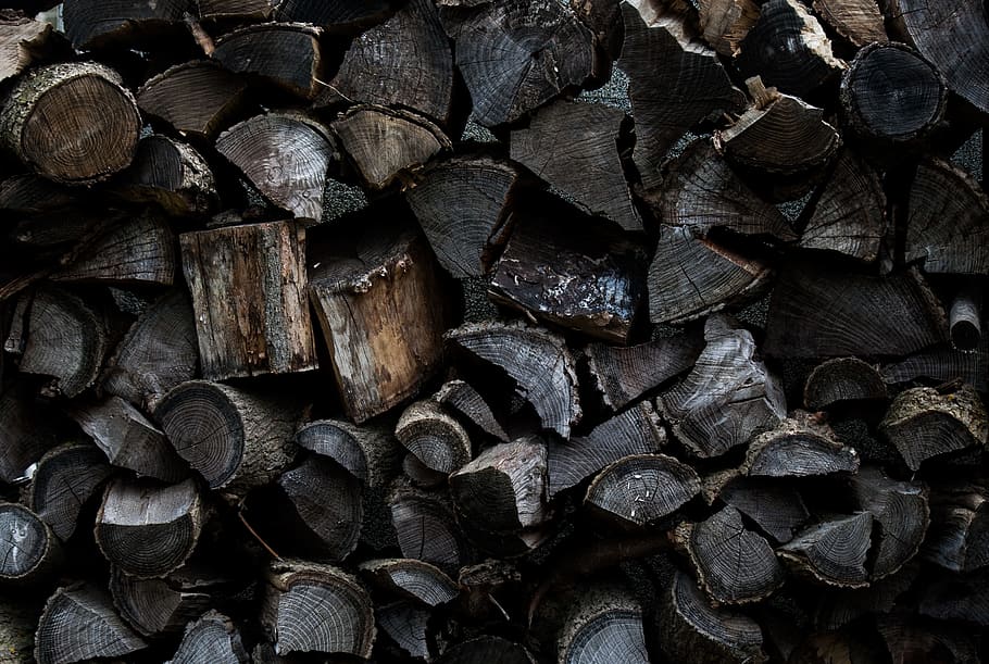 pile of chopped timber firewood, closeup photography of gray firewood lot
