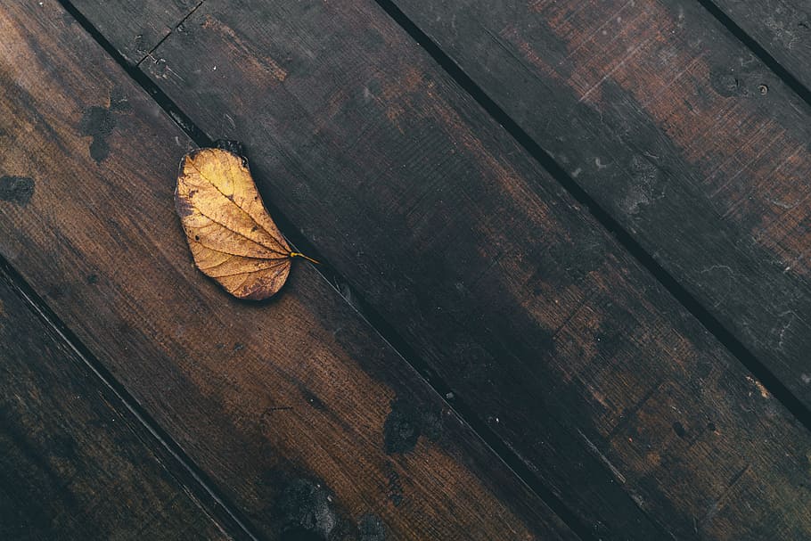 dried leaf on on plank, dried leaf on brown plank, beige, wooden floor HD wallpaper