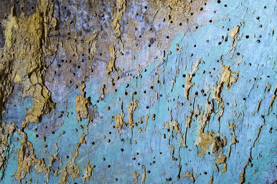 wood, old, texture, background, wormhole, painted, light blue HD wallpaper
