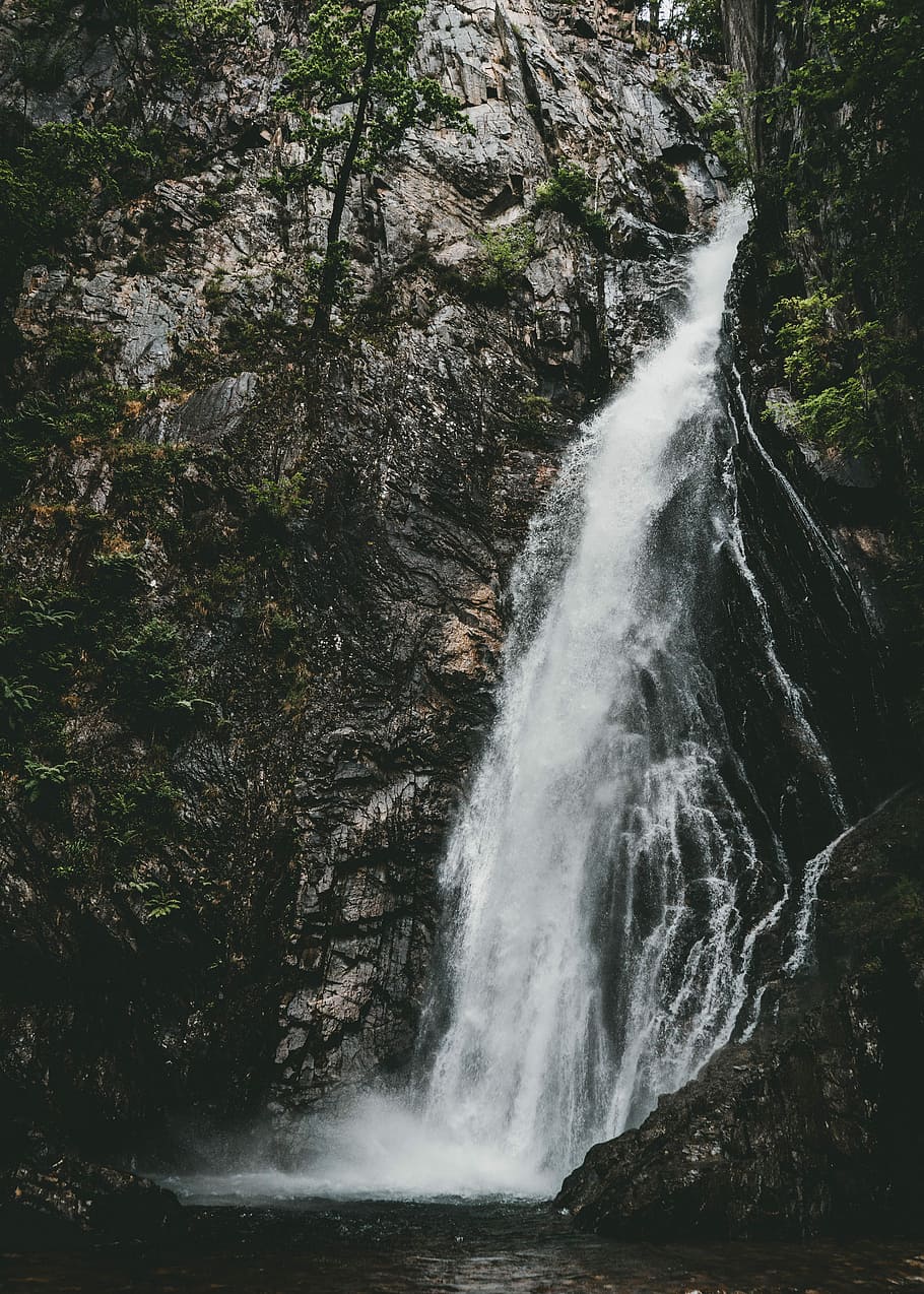 Grey Mare’s Tail, waterfalls in the forest, nature, wilderness, HD wallpaper