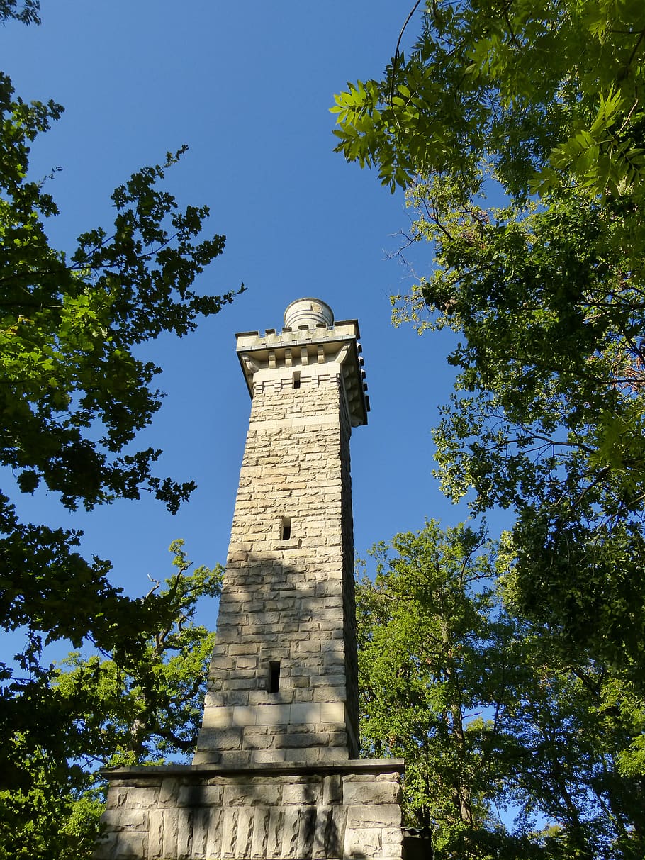 tower, view, stone, wall, forest, high, tree, low angle view HD wallpaper