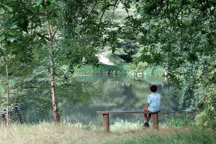 green, grass, trees, plants, lake, water, nature, bench, people HD wallpaper