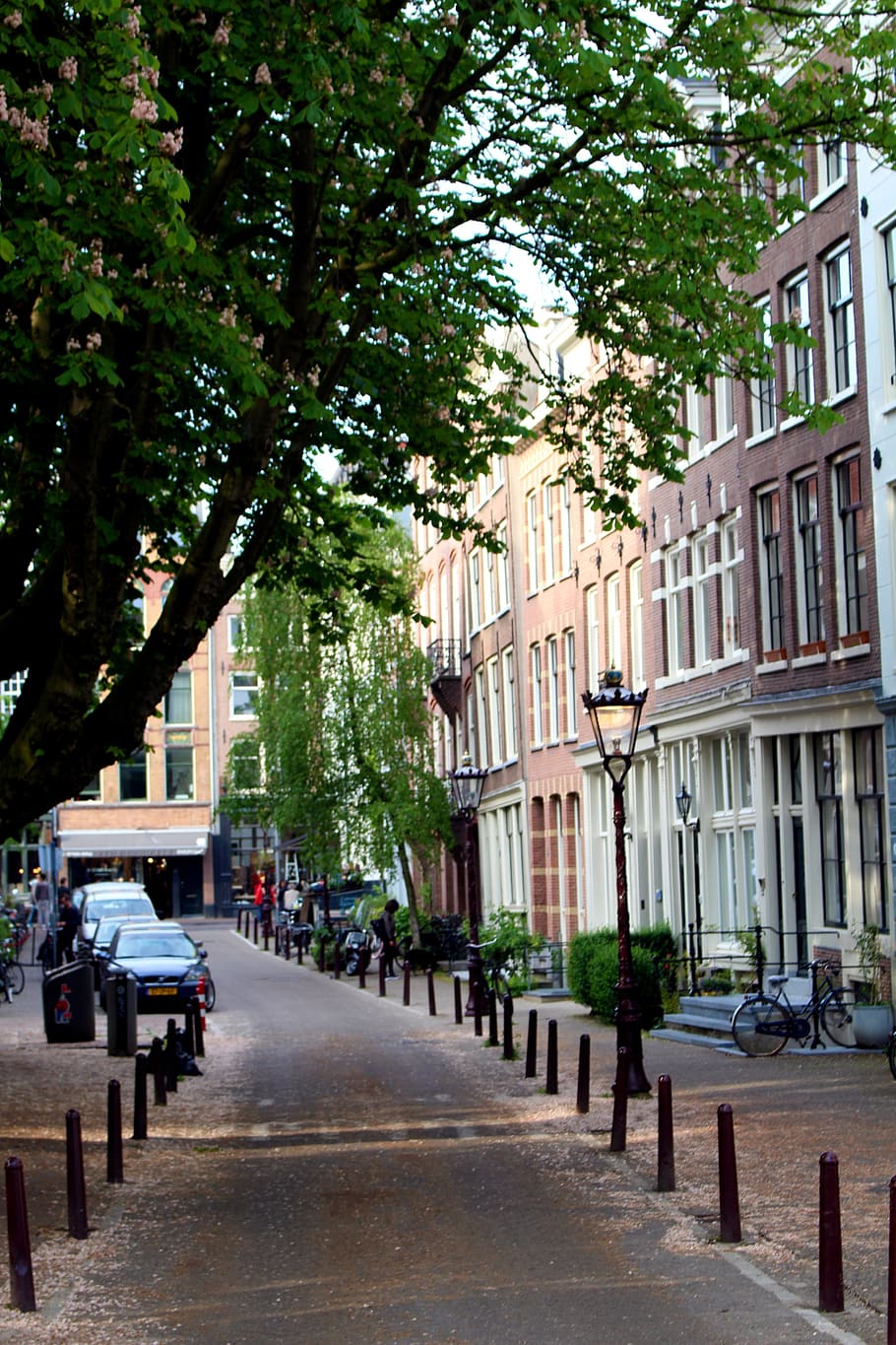 Amsterdam, Road, Netherlands, Holland, city, old, house facade, HD wallpaper