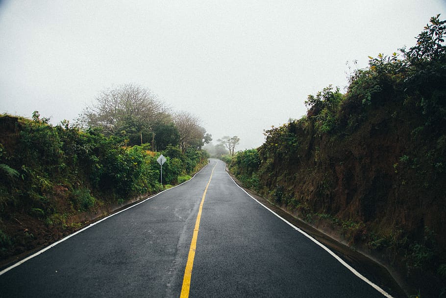 black concrete road between trees, concrete road between trees HD wallpaper