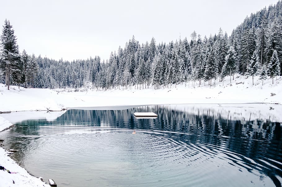 calm body of water, pond, surrounded, white, snow, field, winter HD wallpaper