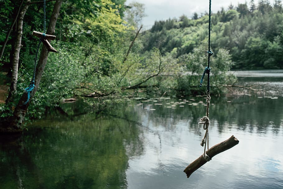 Rope swings on lake, landscape, lifestyle, nature, water, forest HD wallpaper