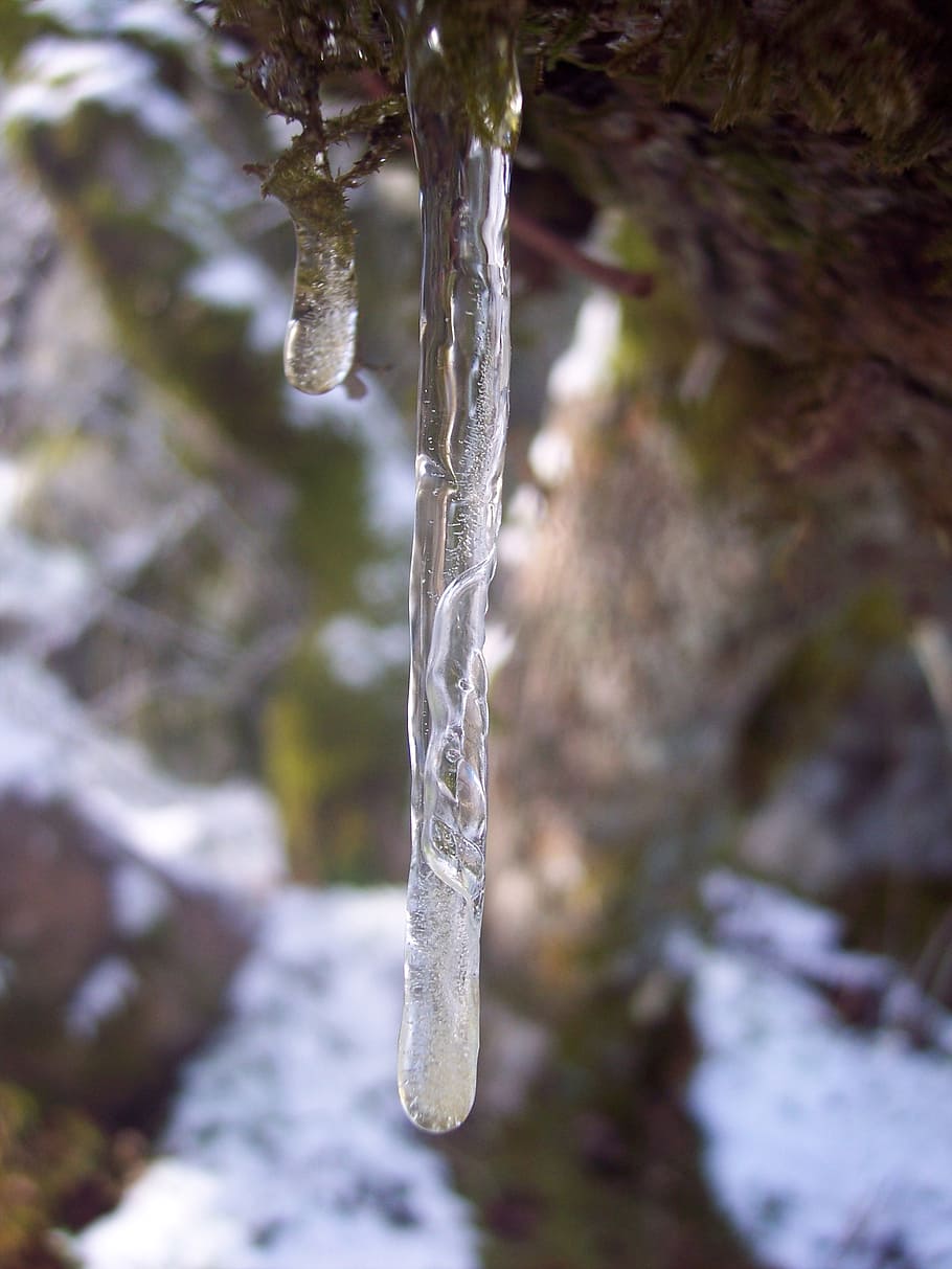 icicle, ice, snow, drip, winter, cold temperature, frozen, nature HD wallpaper