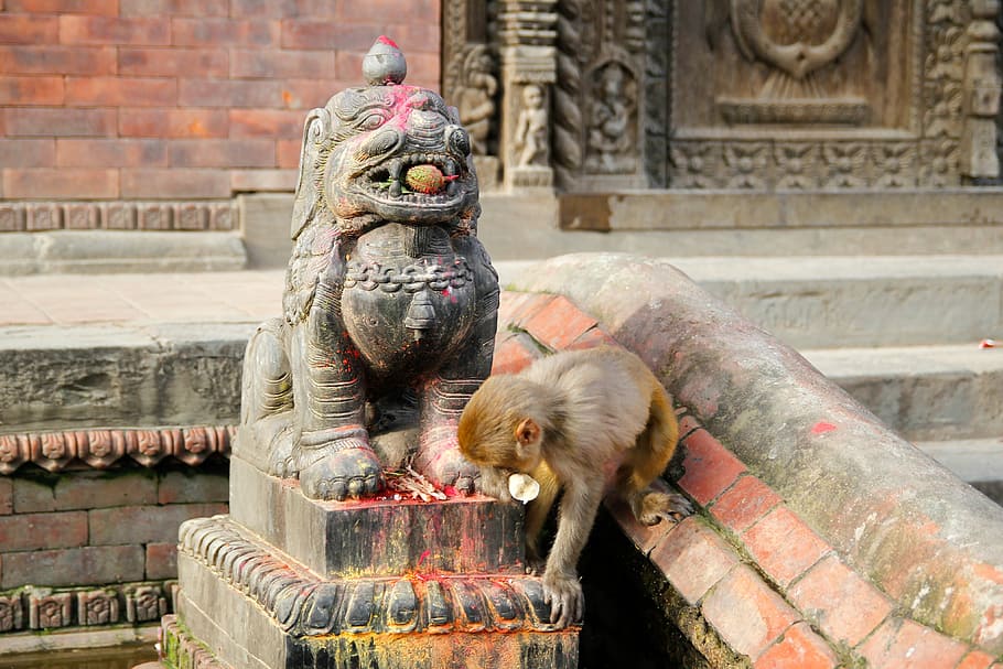 kathmandu, nepal, asia, travel, hinduism, culture, pashupatinath