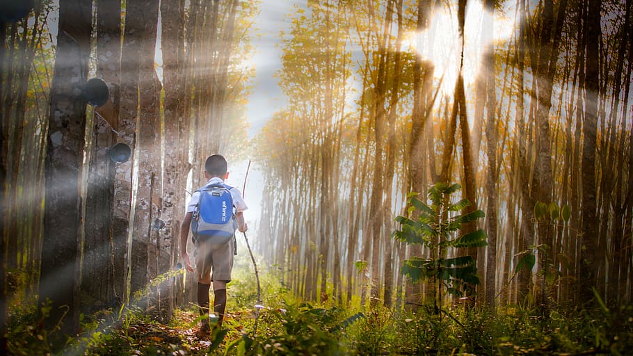 child wearing blue backpack walking towards forest, school, student